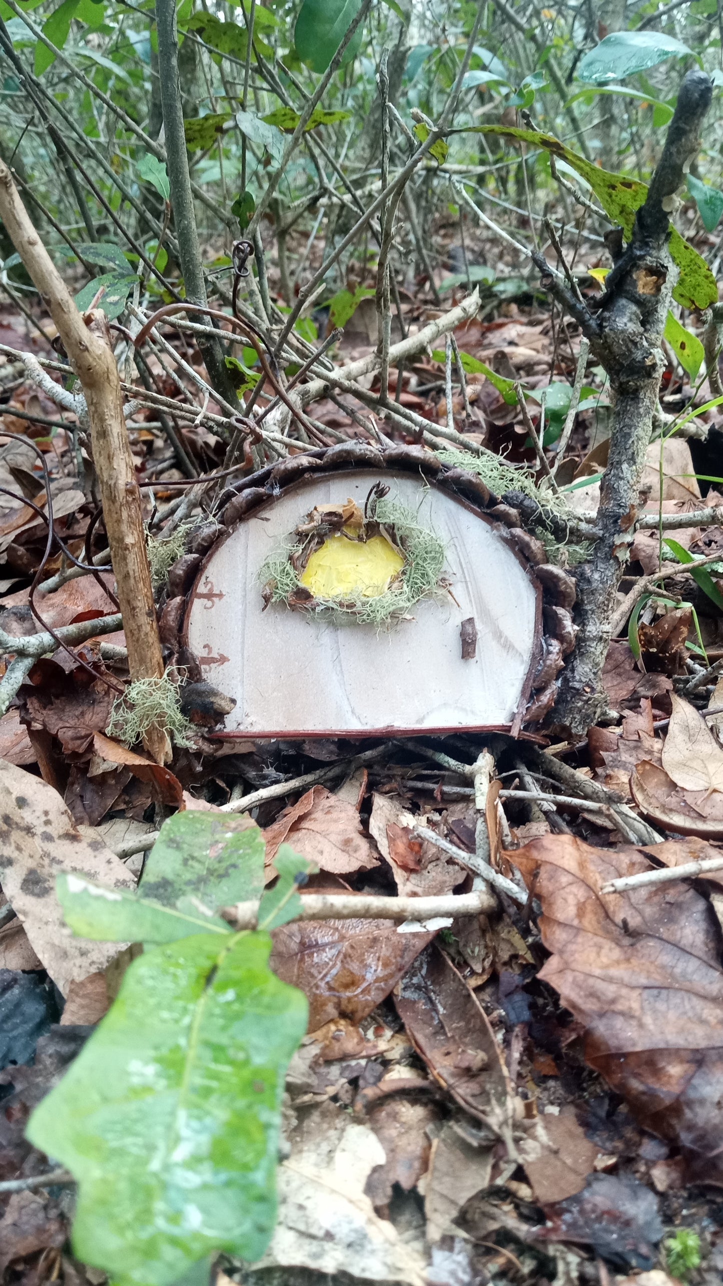 Fairy Doors