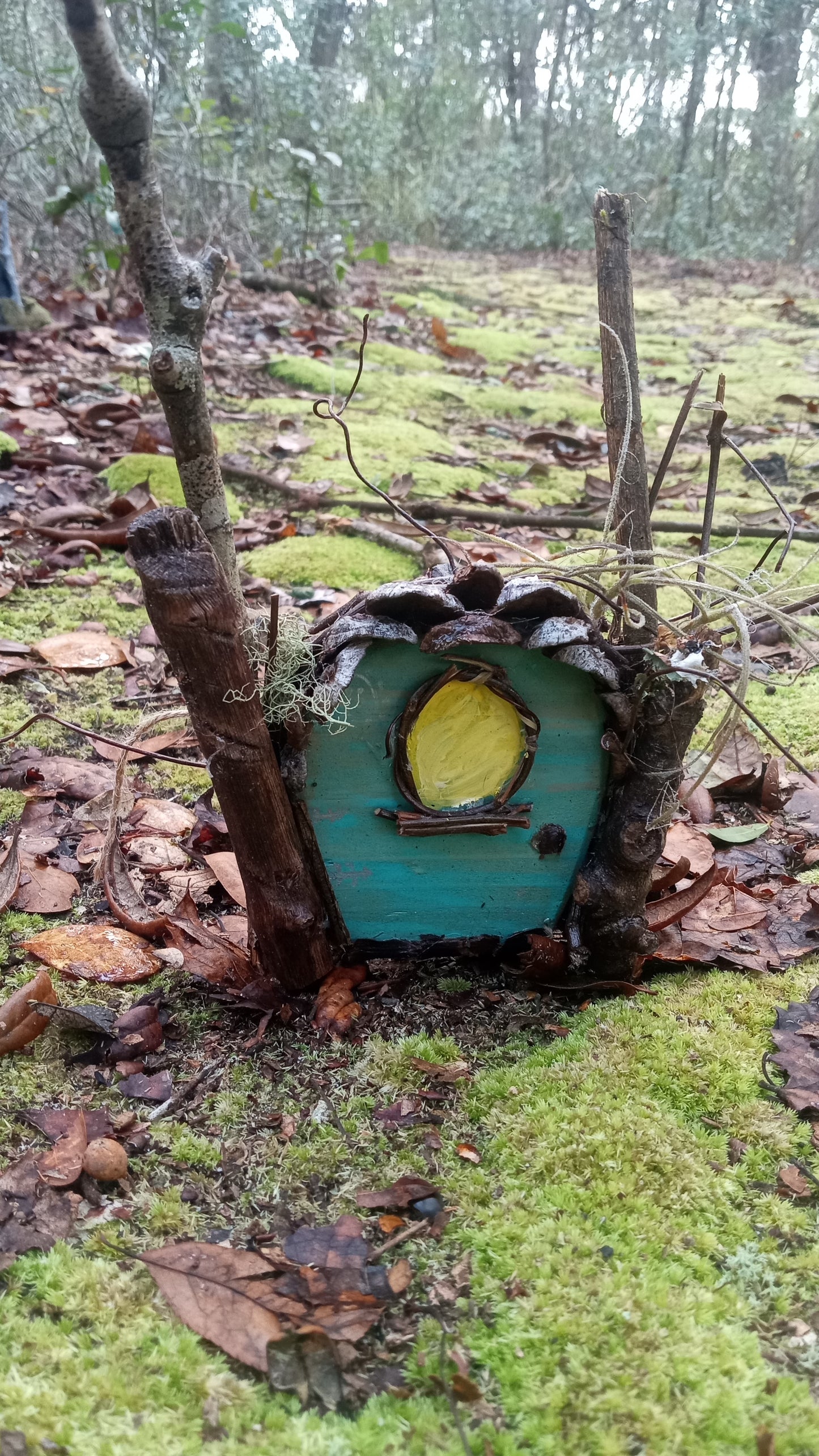 Fairy Doors