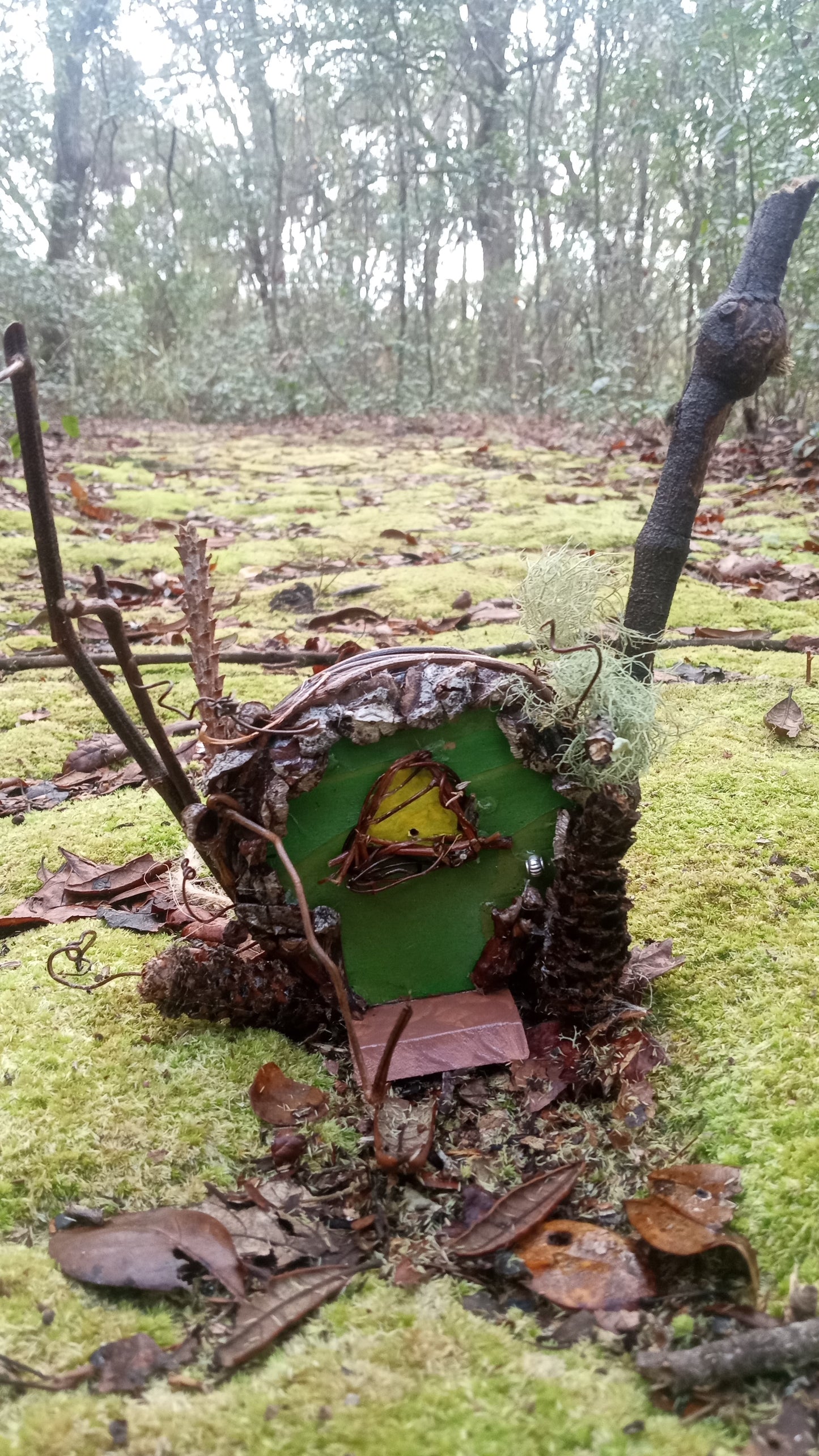 Fairy Doors