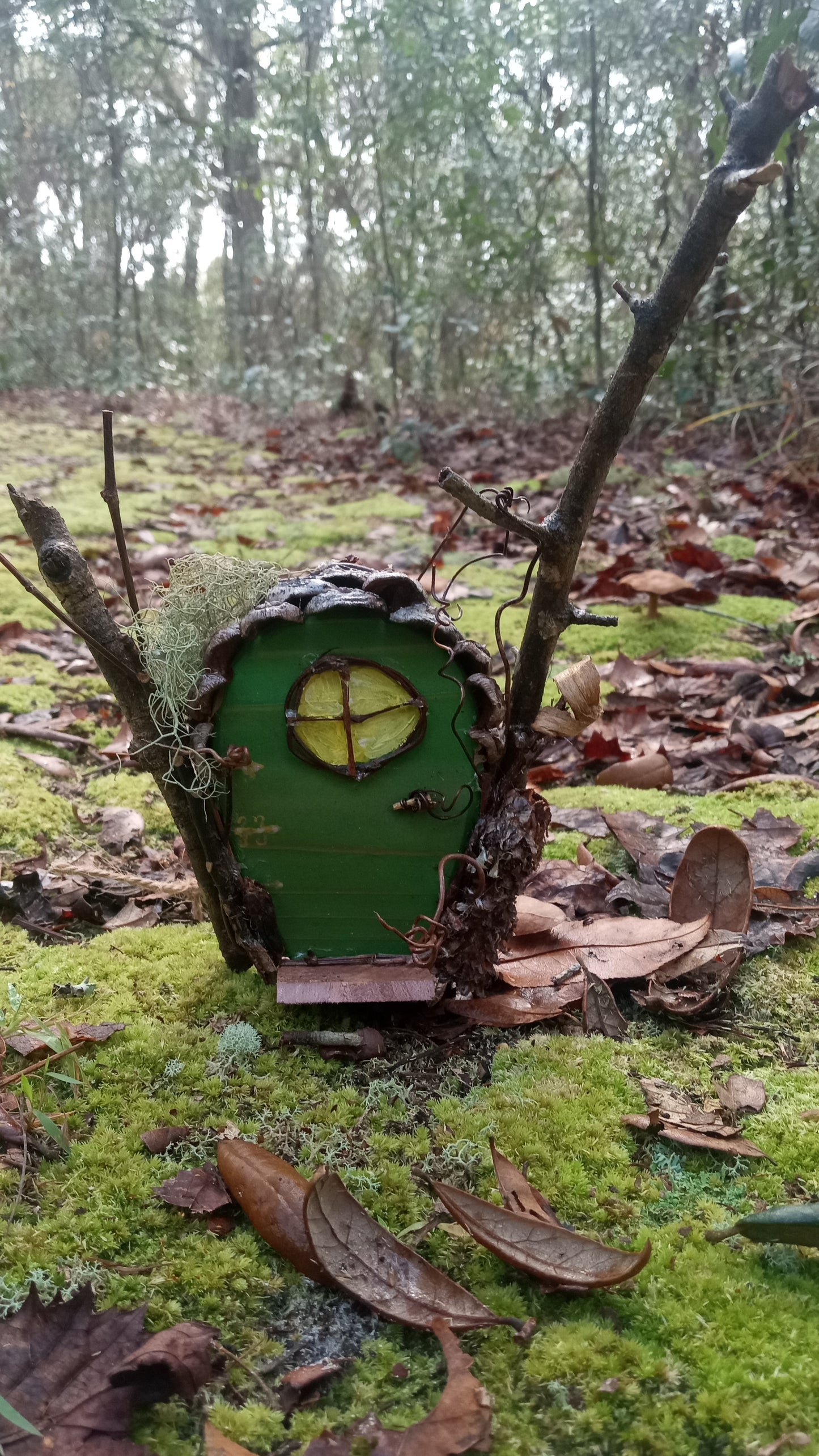 Fairy Doors