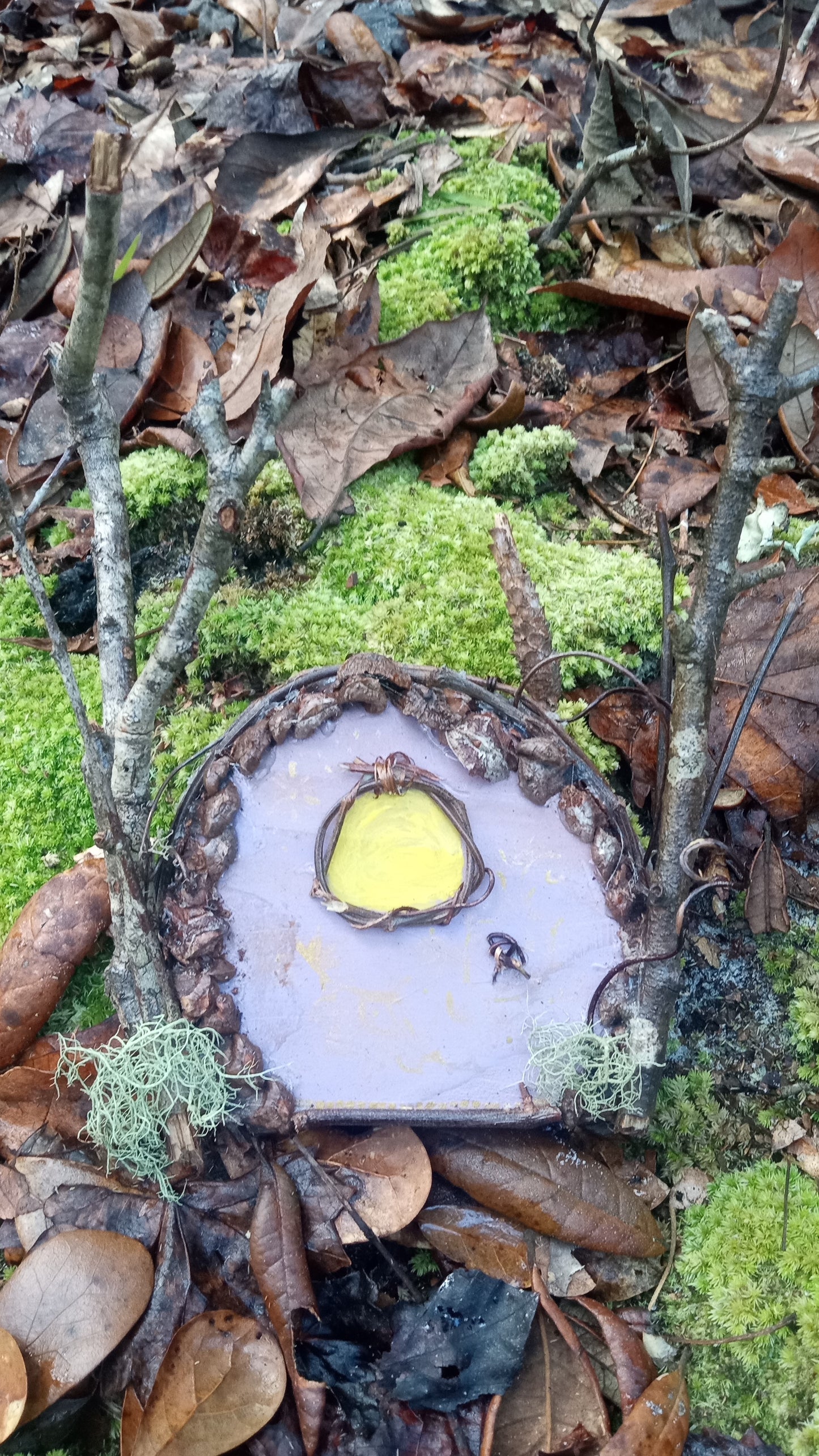 Fairy Doors