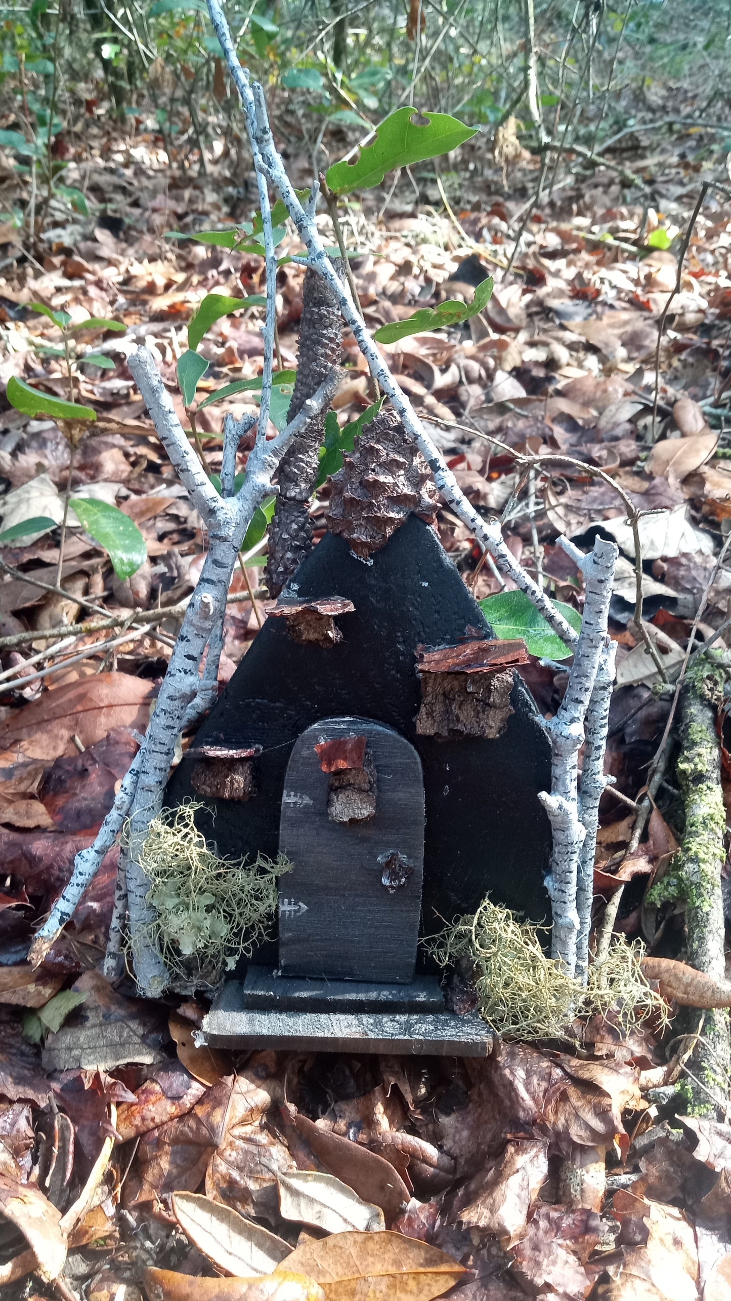 Fairy Doors