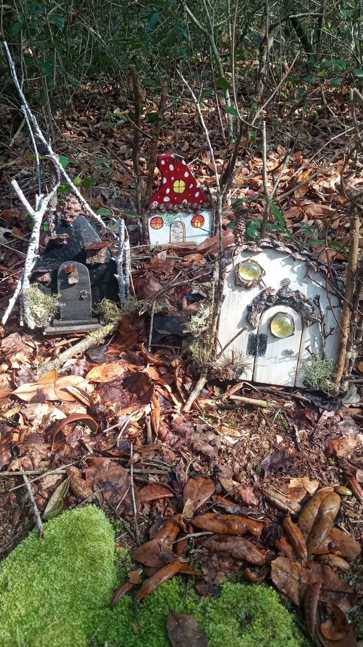 Fairy Doors