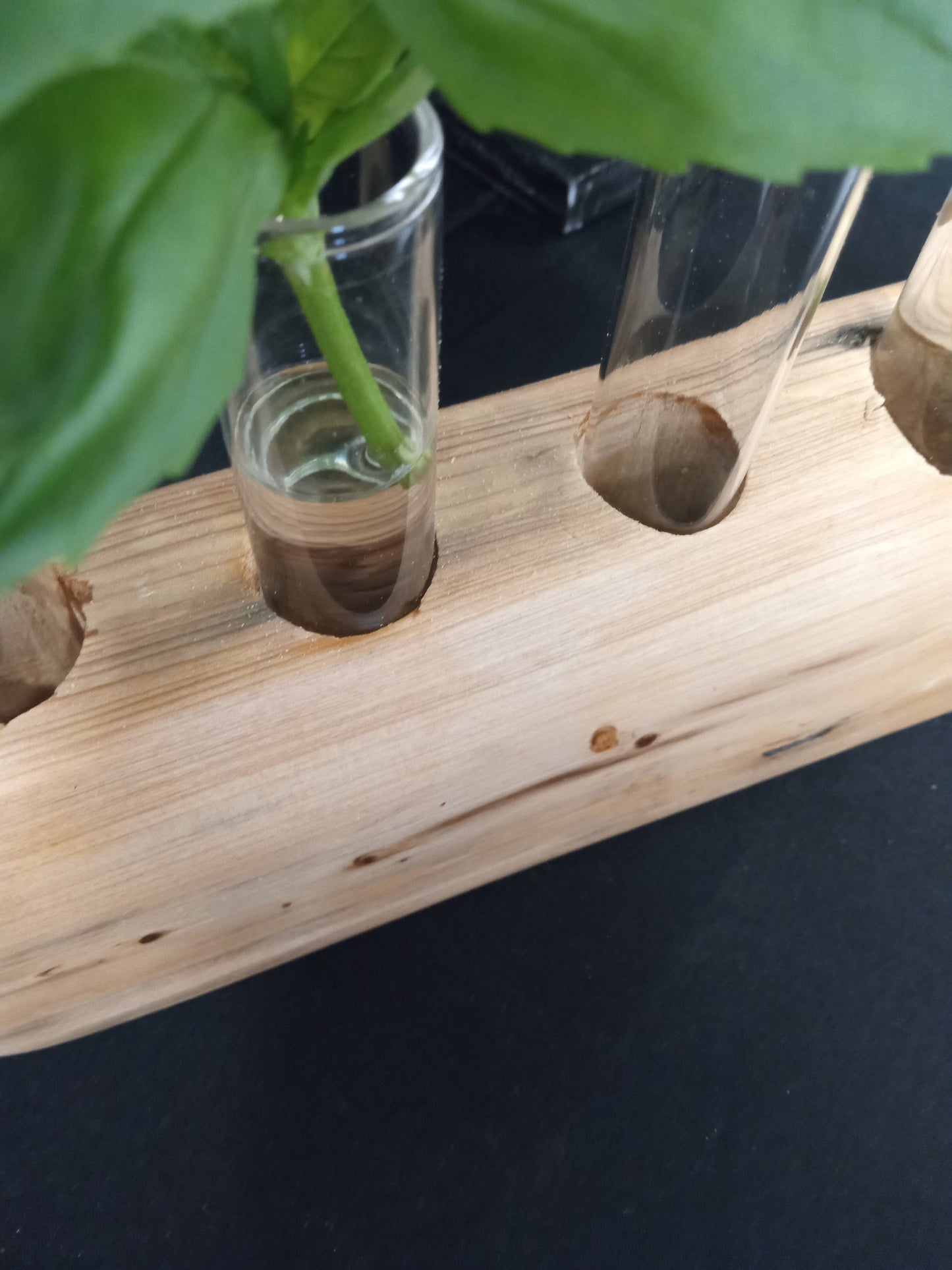 Propagation Stations