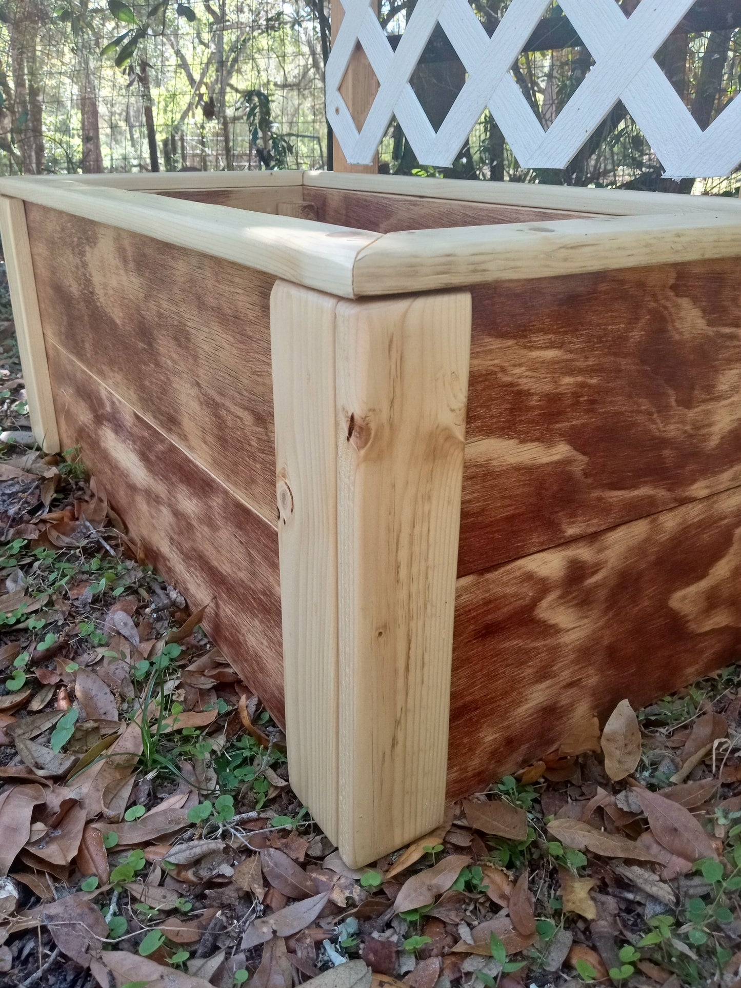 Farmhouse Lattice Planter with stained plywood sides, untreated 4x4 corner post, and lattice trellis for vines, set on fallen leaves outdoors.