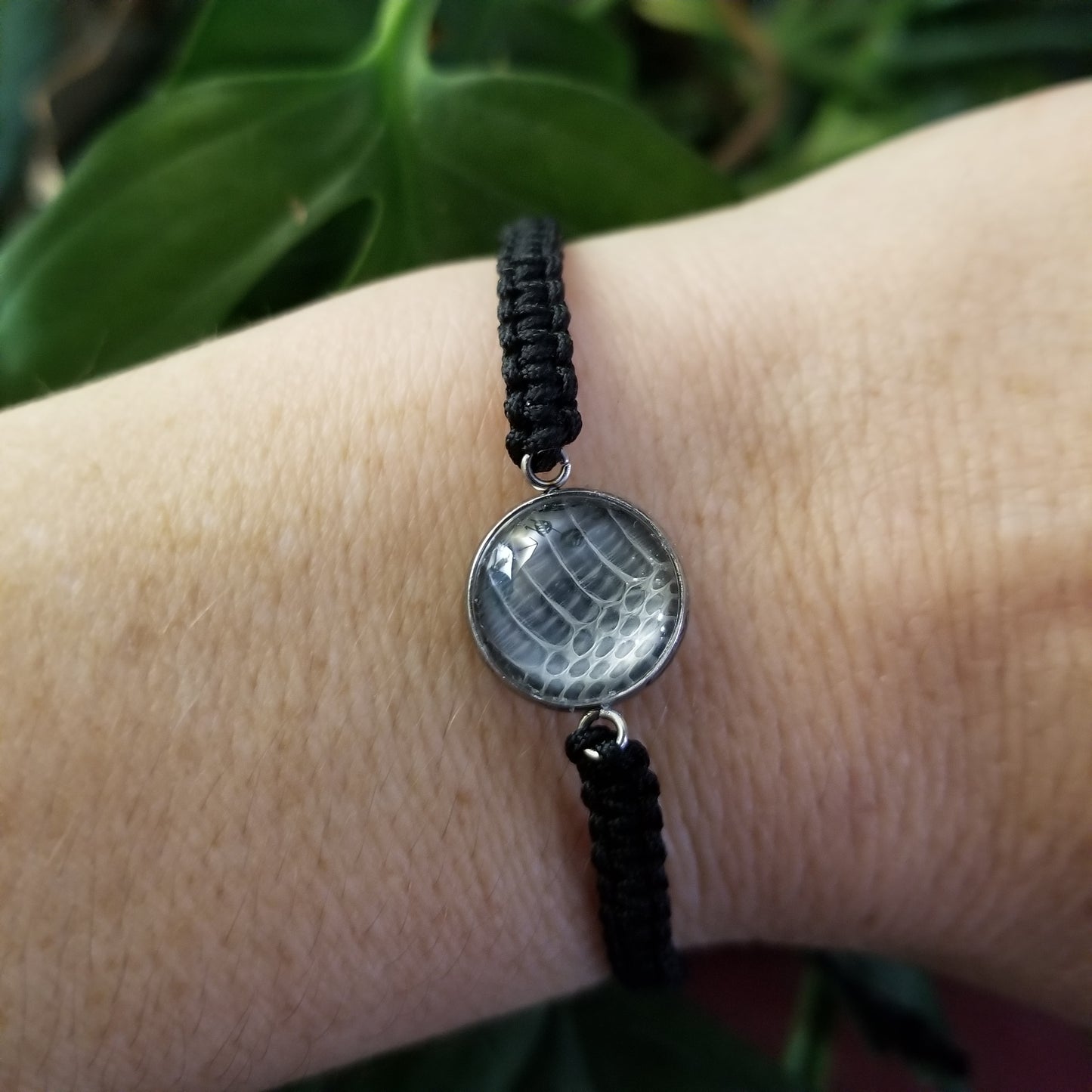 black cord, black pendant, corn snake