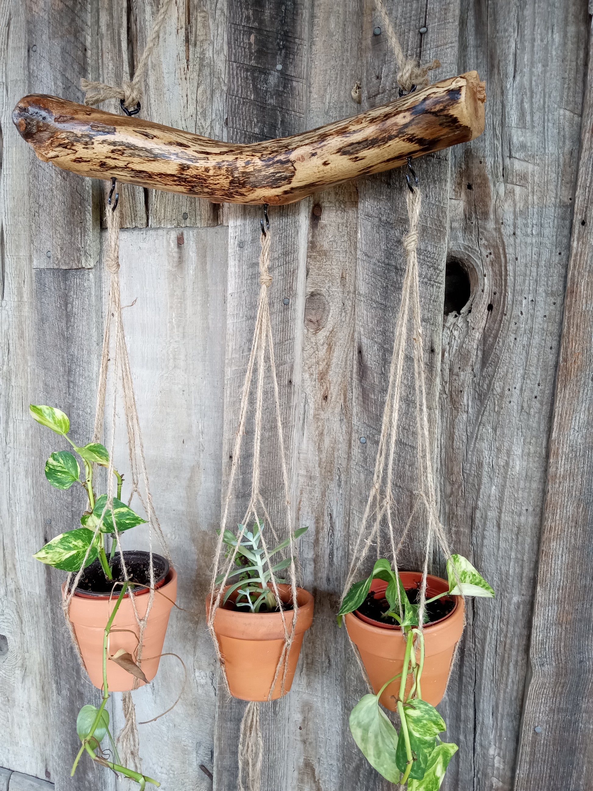 plant hanger pots Natural Branch Hanging Planter