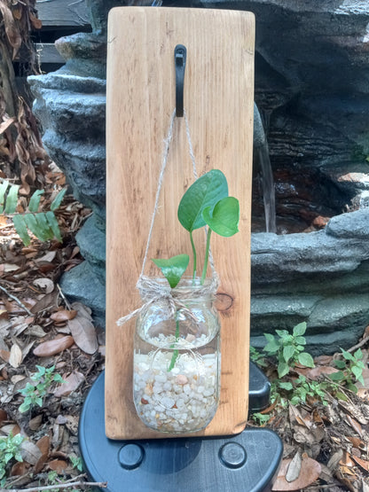 Lightly stained wood board holding a beautiful mason jar filled with decorative rock holding a green plant clipping in water.