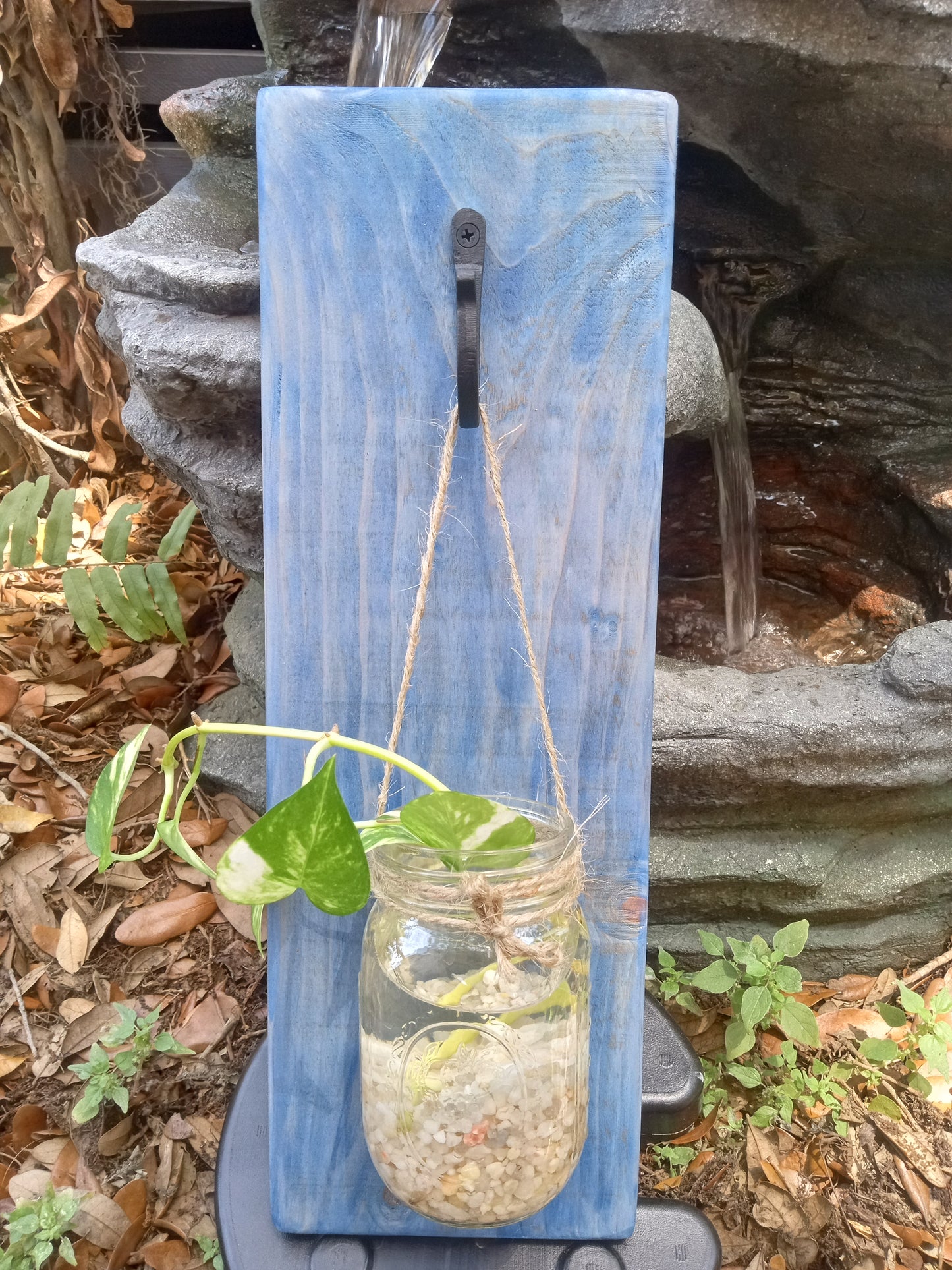 Mason jar wall sconce with a black hook on a blue painted wood board, holding a green plant clipping in water filled with decorative rocks.