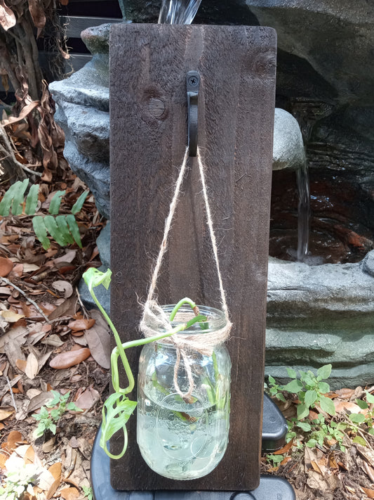 Handcrafted oak wall sconce with a black hook holding a mason jar filled with water and a green plant clipping.