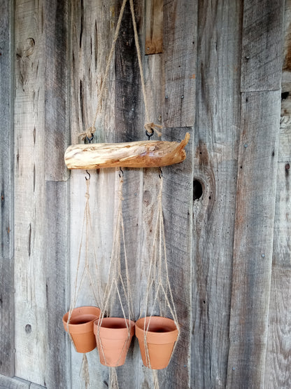 Terracotta pots hanging by jute from an oak branch against a wooden surface.
