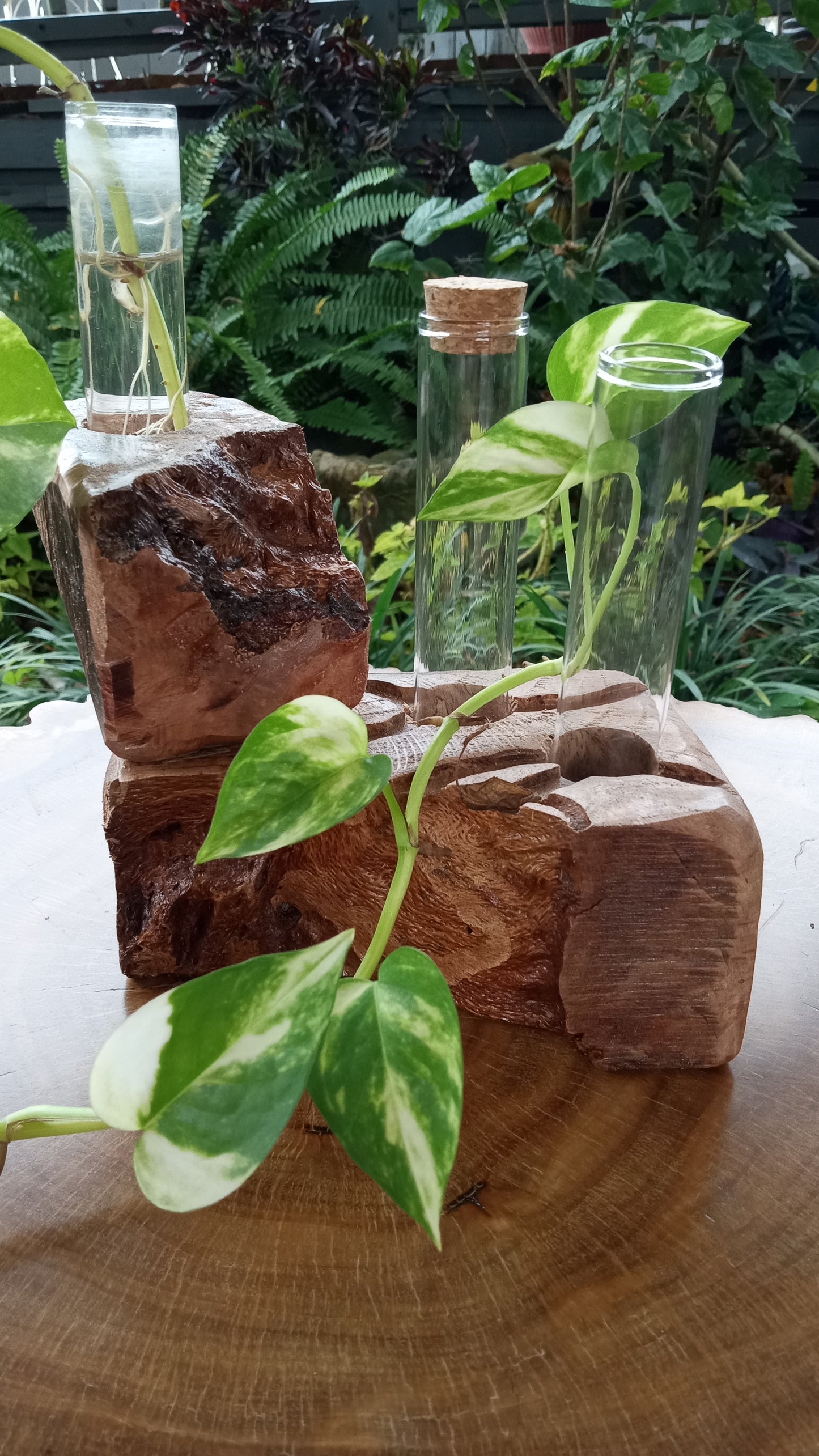 Propagation Stations