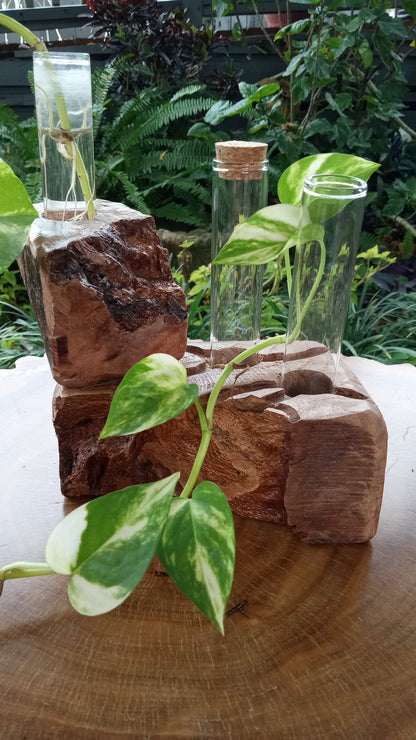 Propagation Stations