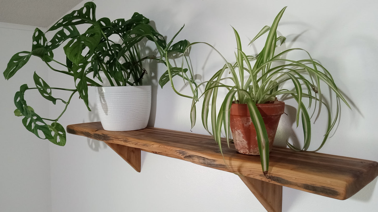 A rustic wall shelf hanging on a plain white wall with two plants sitting on the sturdy shelf.
