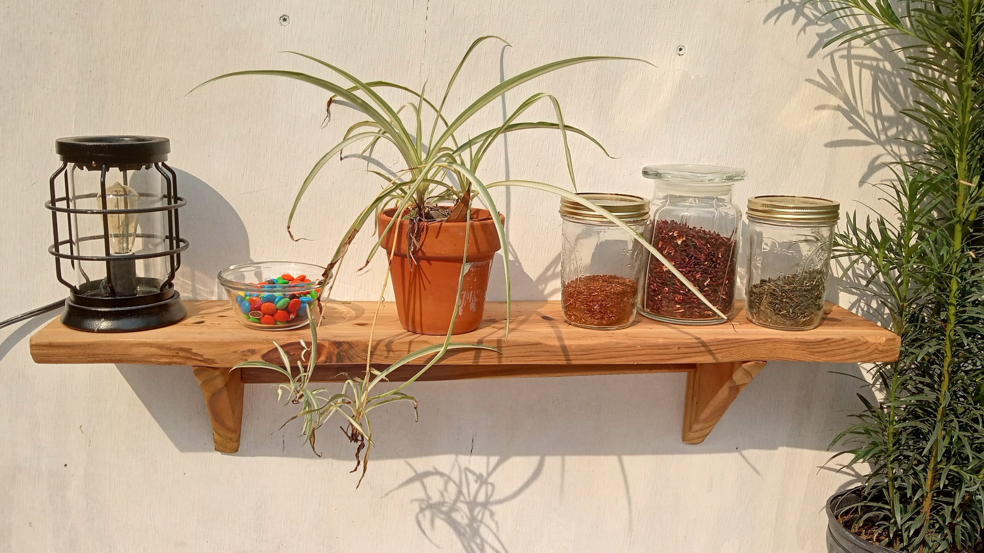 An outdoor picture of the rustic wall shelf holding a plant and various mason jars and a lantern.