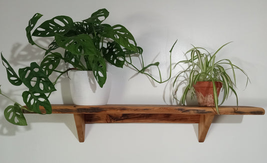 A rustic cypress wood shelf mounted on a wall, holding two potted plants, one with large green leaves and the other with smaller brown leaves.