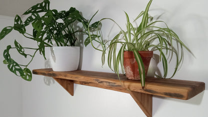 Rustic Cypress Shelf