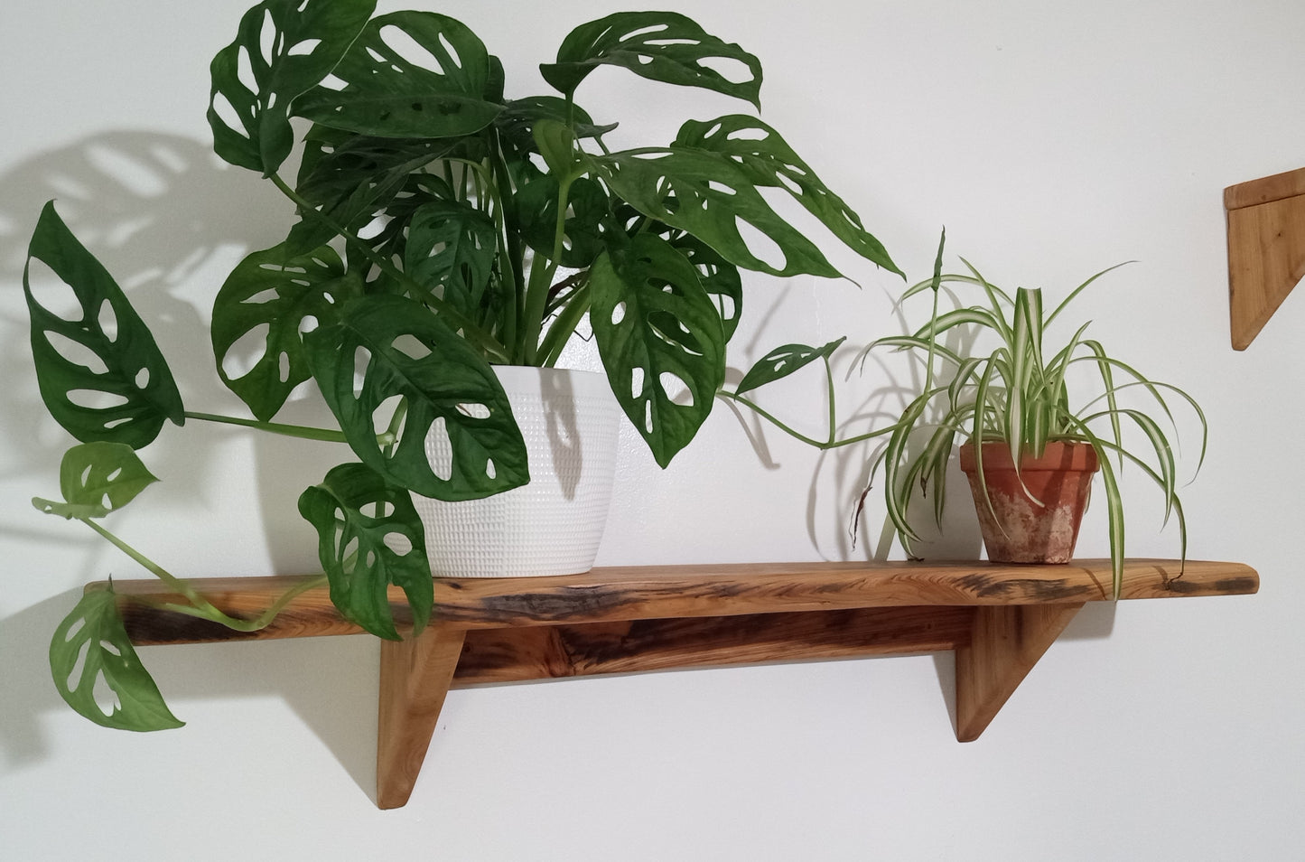 Rustic Cypress Shelf