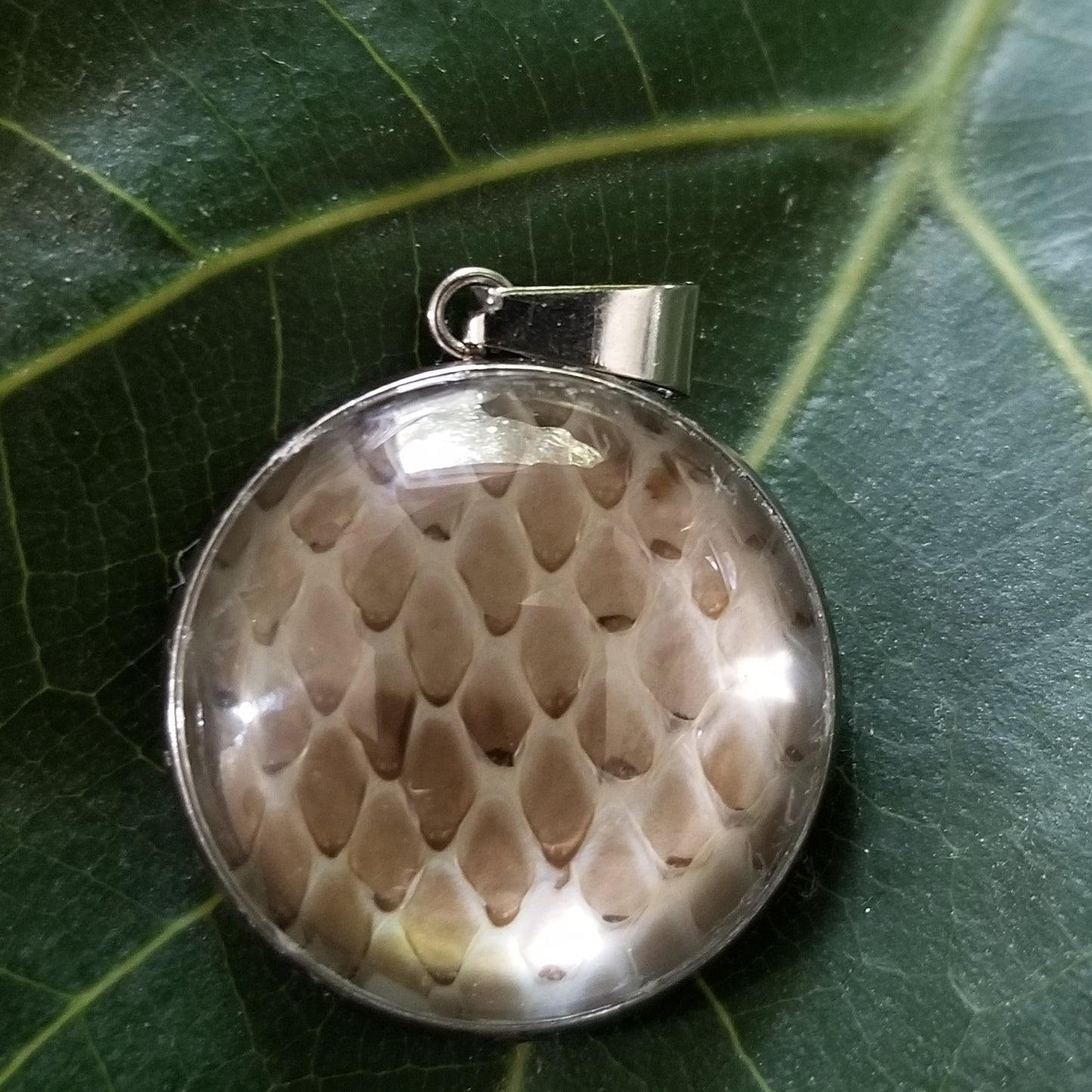 Stainless Steel Natural Snake Skin Pendant