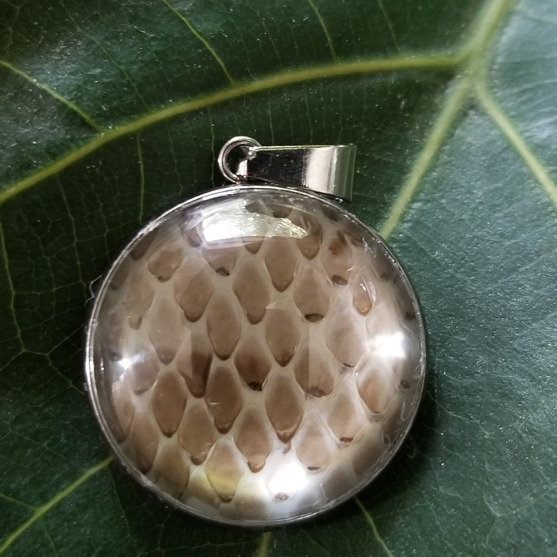 Stainless Steel Natural Snake Skin Pendant