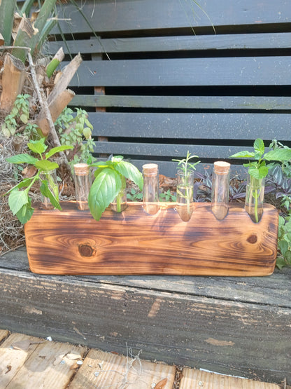 Propagation Stations