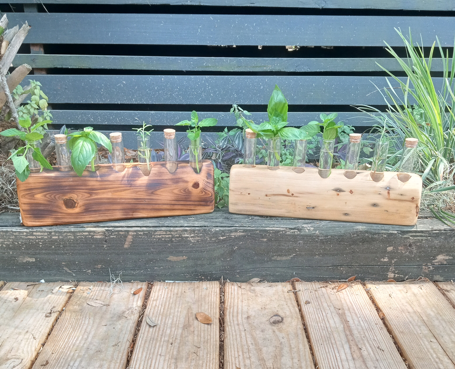Propagation Stations