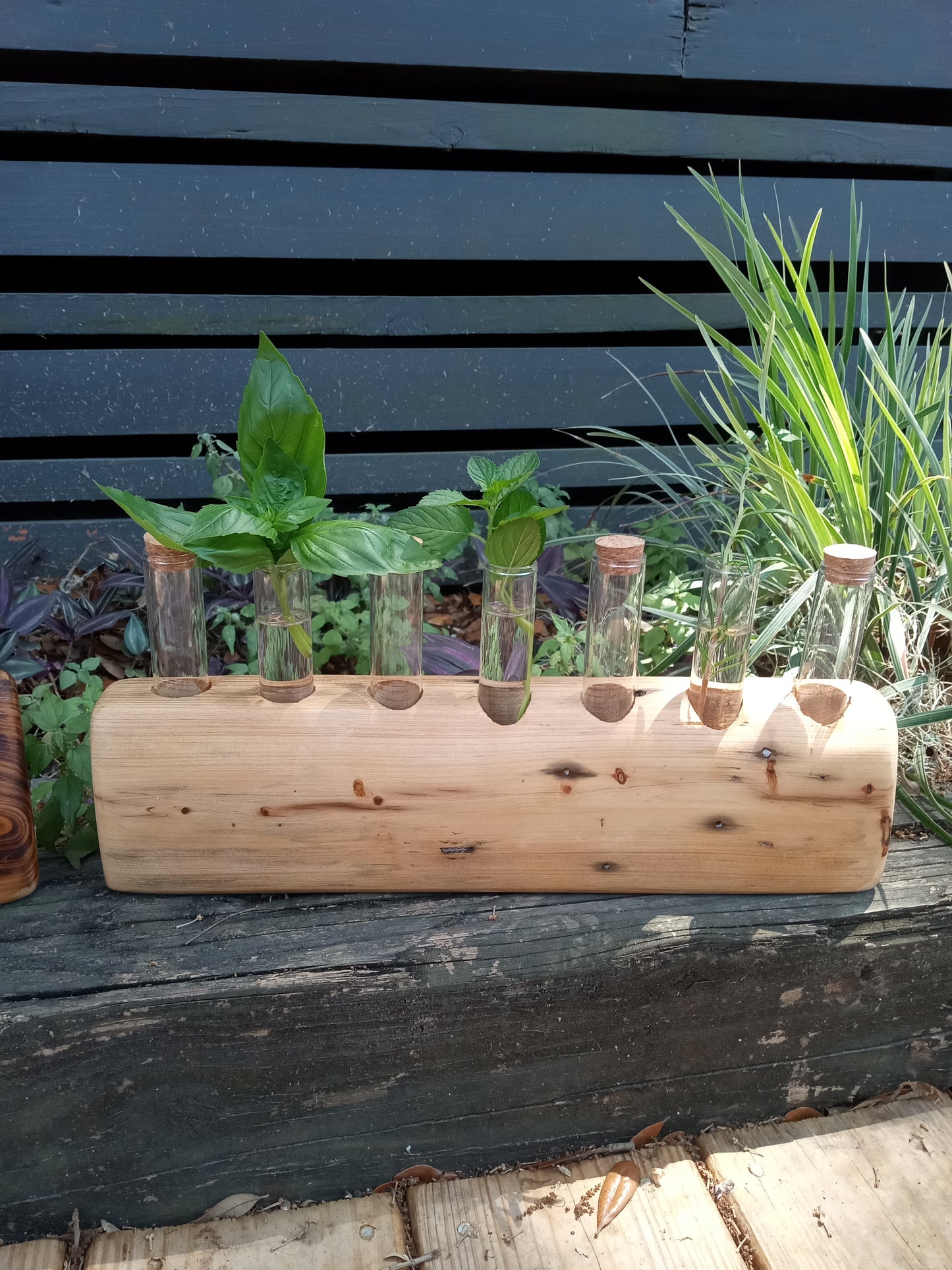 Propagation Stations