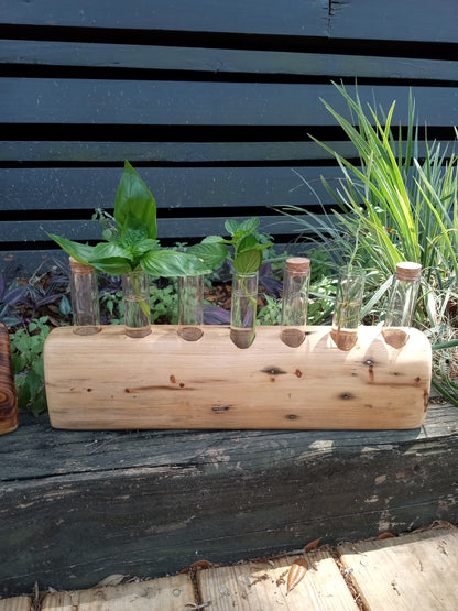Propagation Stations