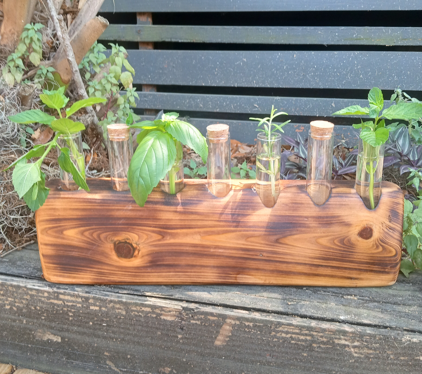 Propagation Stations