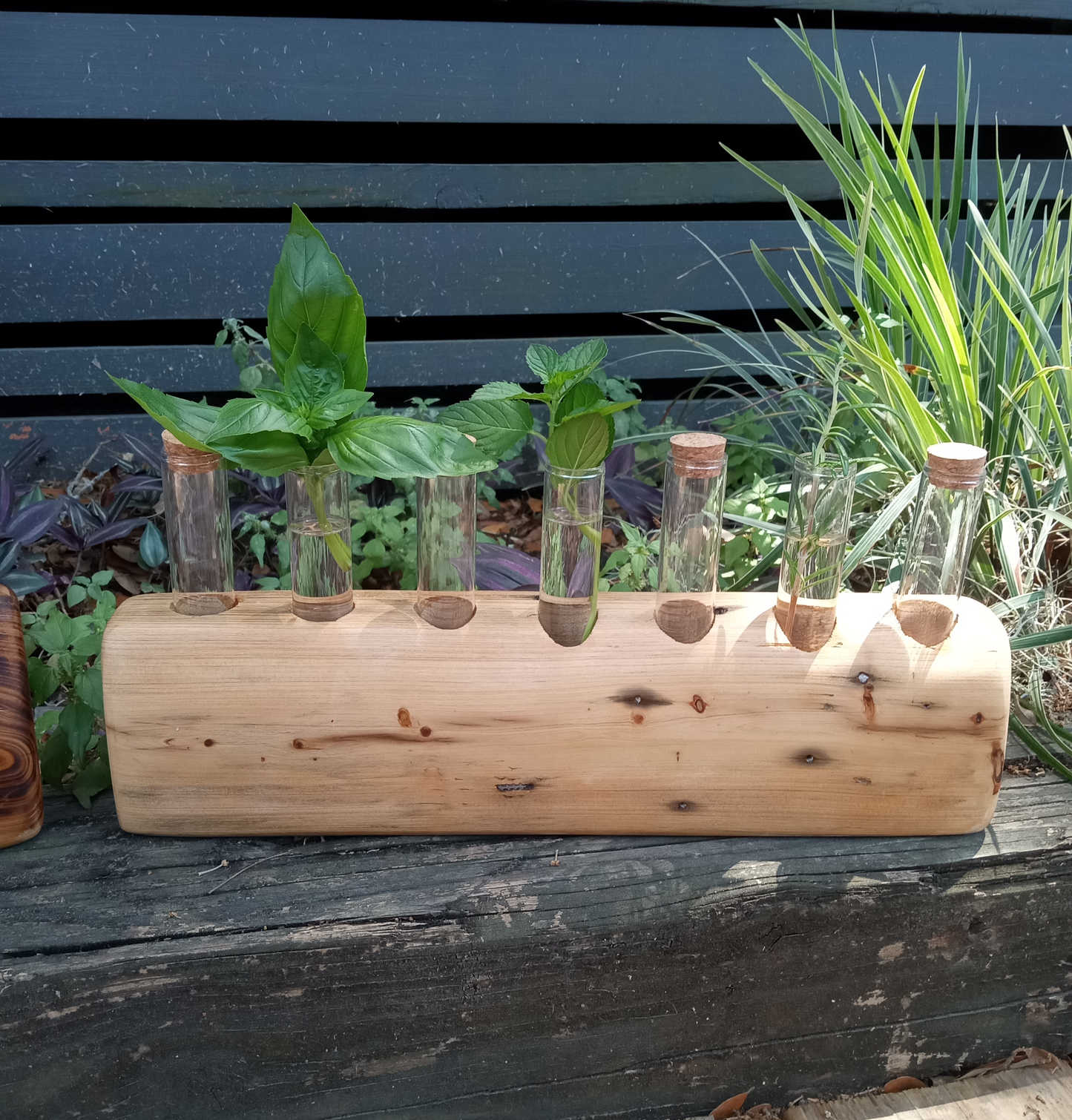 Propagation Stations
