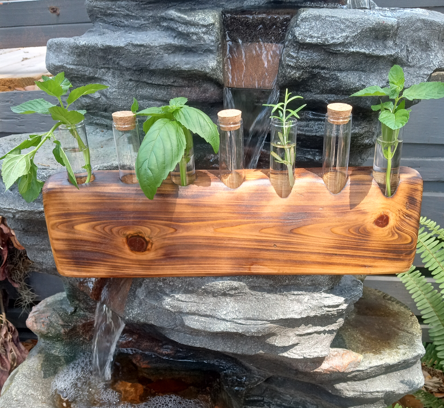 Propagation Stations