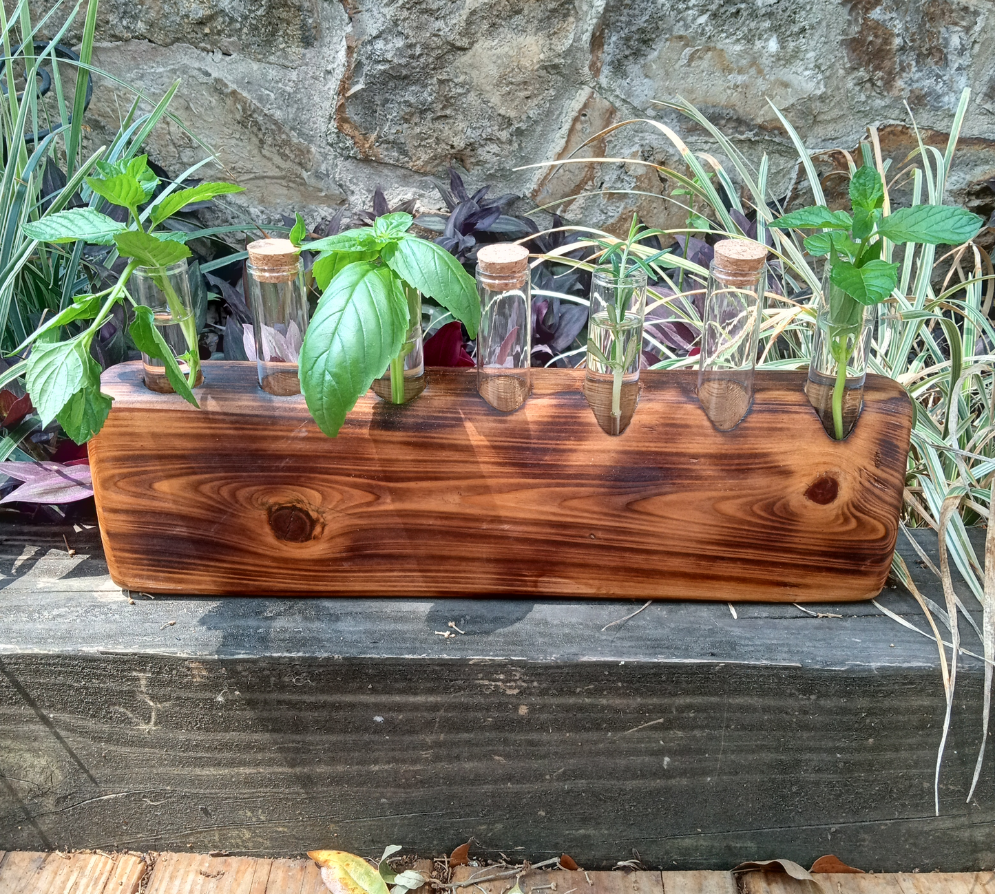 Propagation Stations