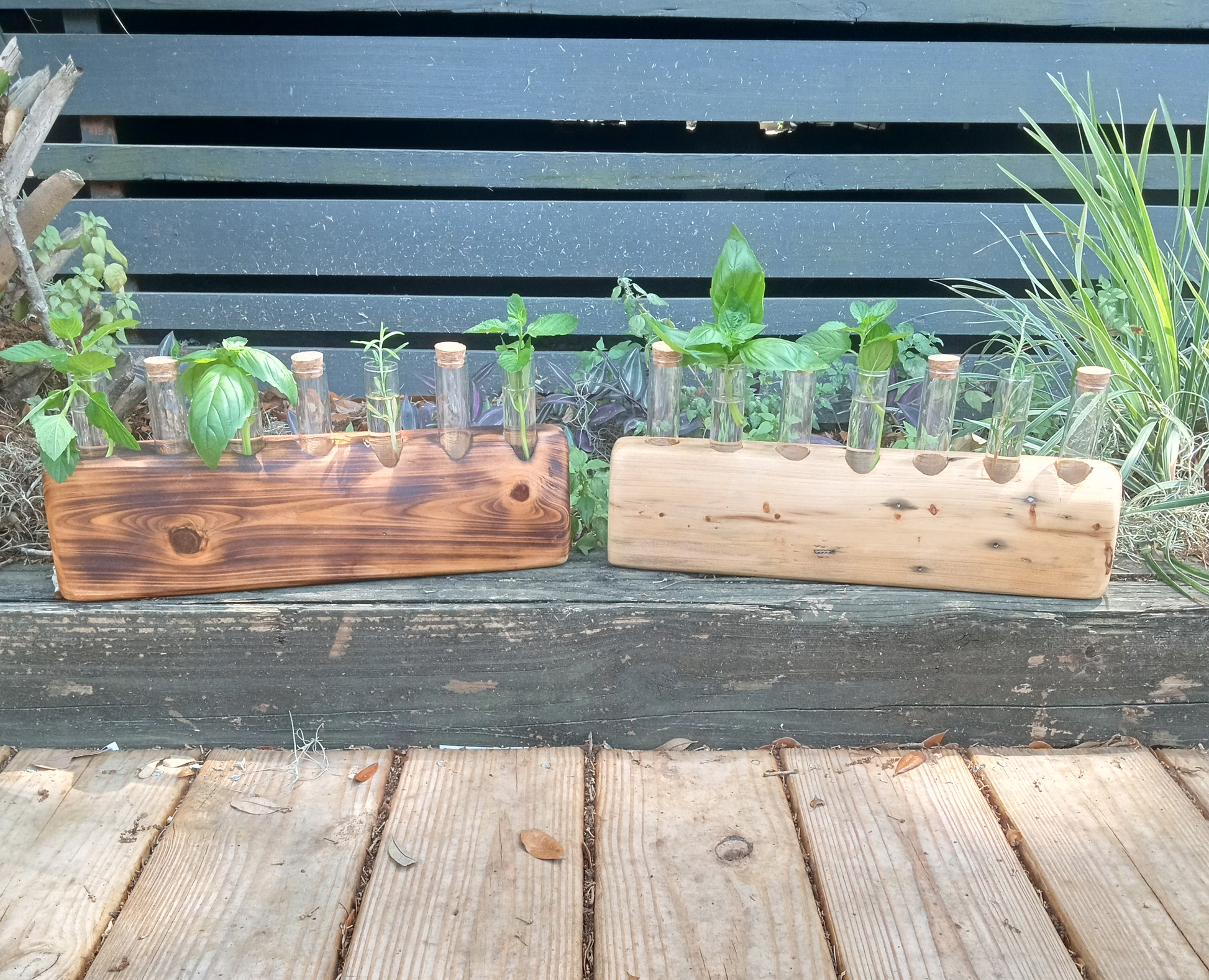 A wooden test tube plant propagator with several test tubes filled with water and plants, placed on a wooden beam outside.
