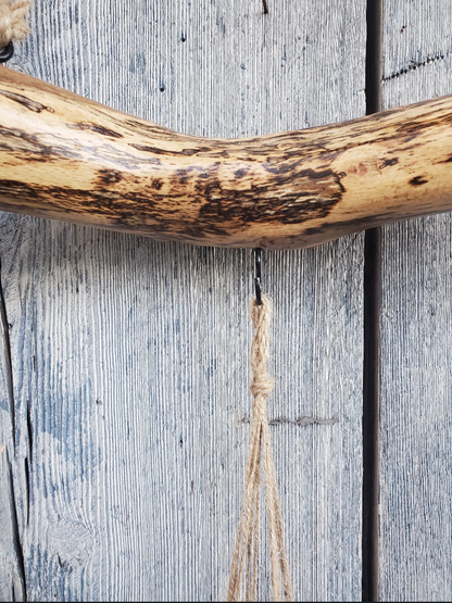 detail large wooden oak branch