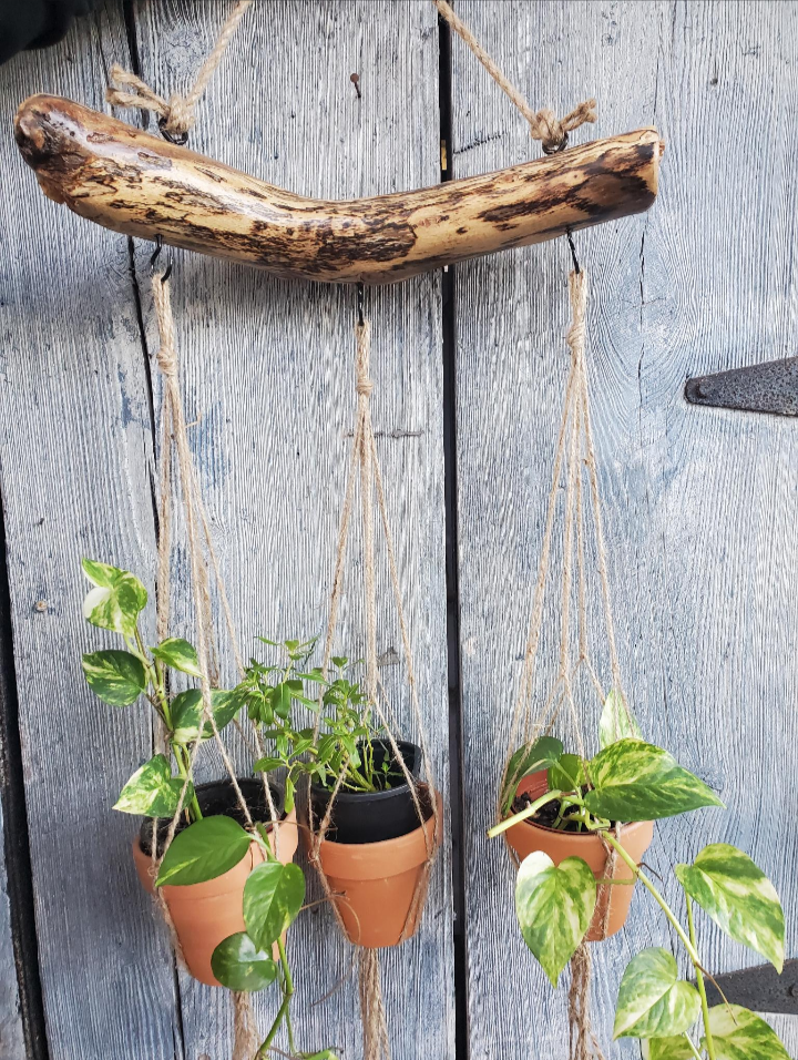 wooden hanging plant bracket Natural Branch Hanging Planter – Knotty Traditions