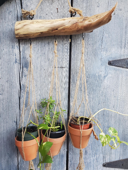 Hanging planters with pots on a wooden wall