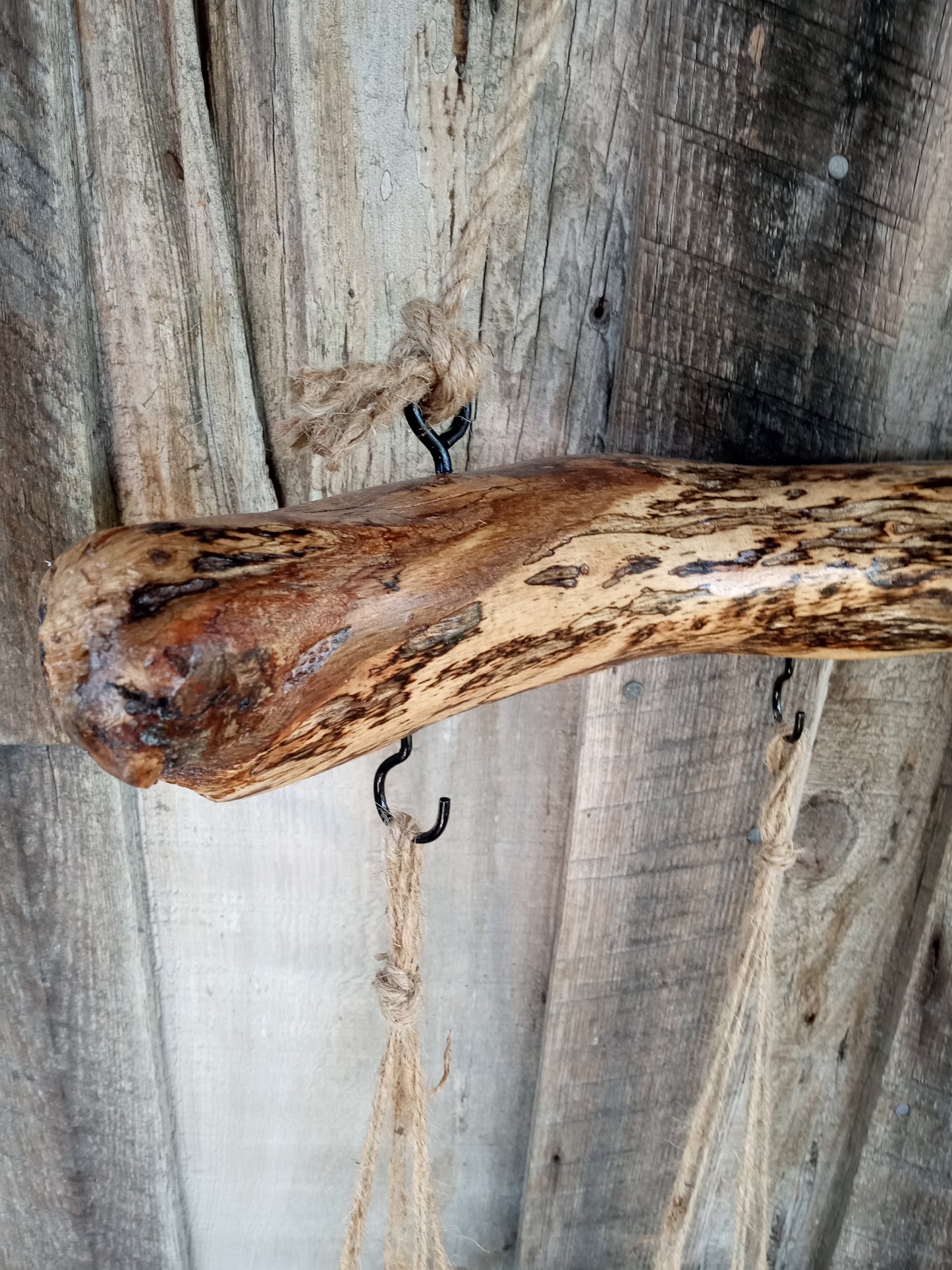 Wooden oak branch hanging planter detail close up