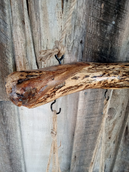Wooden oak branch hanging planter detail close up