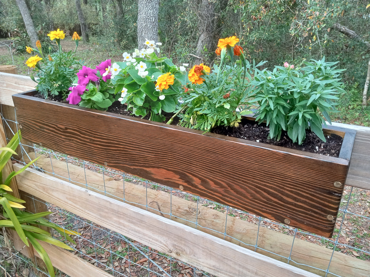 Hanging Fence Planters made of stained wood, filled with marigolds, petunias, begonias, and a leafy perennial, mounted on a wood-and-wire fence panel.