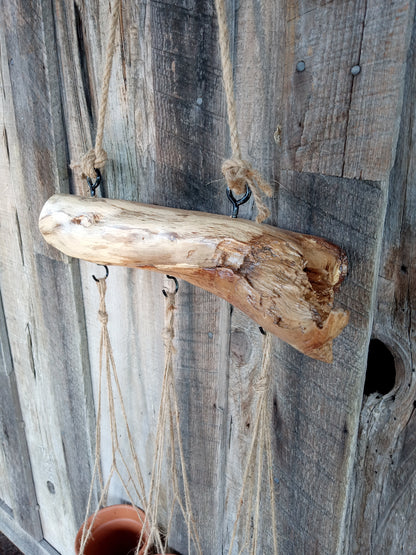 Natural Branch Hanging Planter
