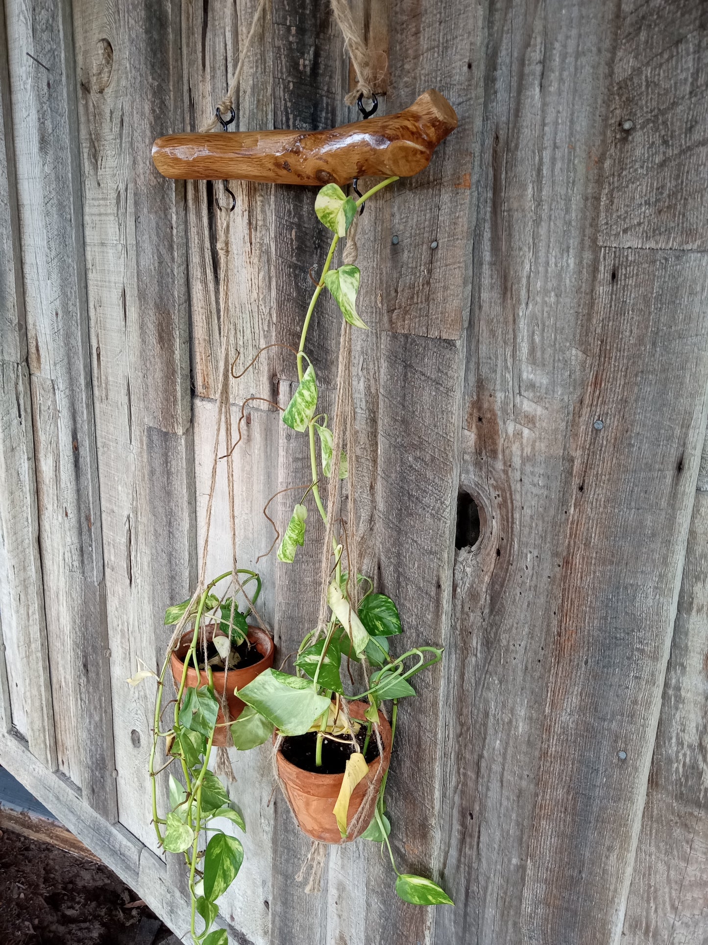 Natural Branch Hanging Planter