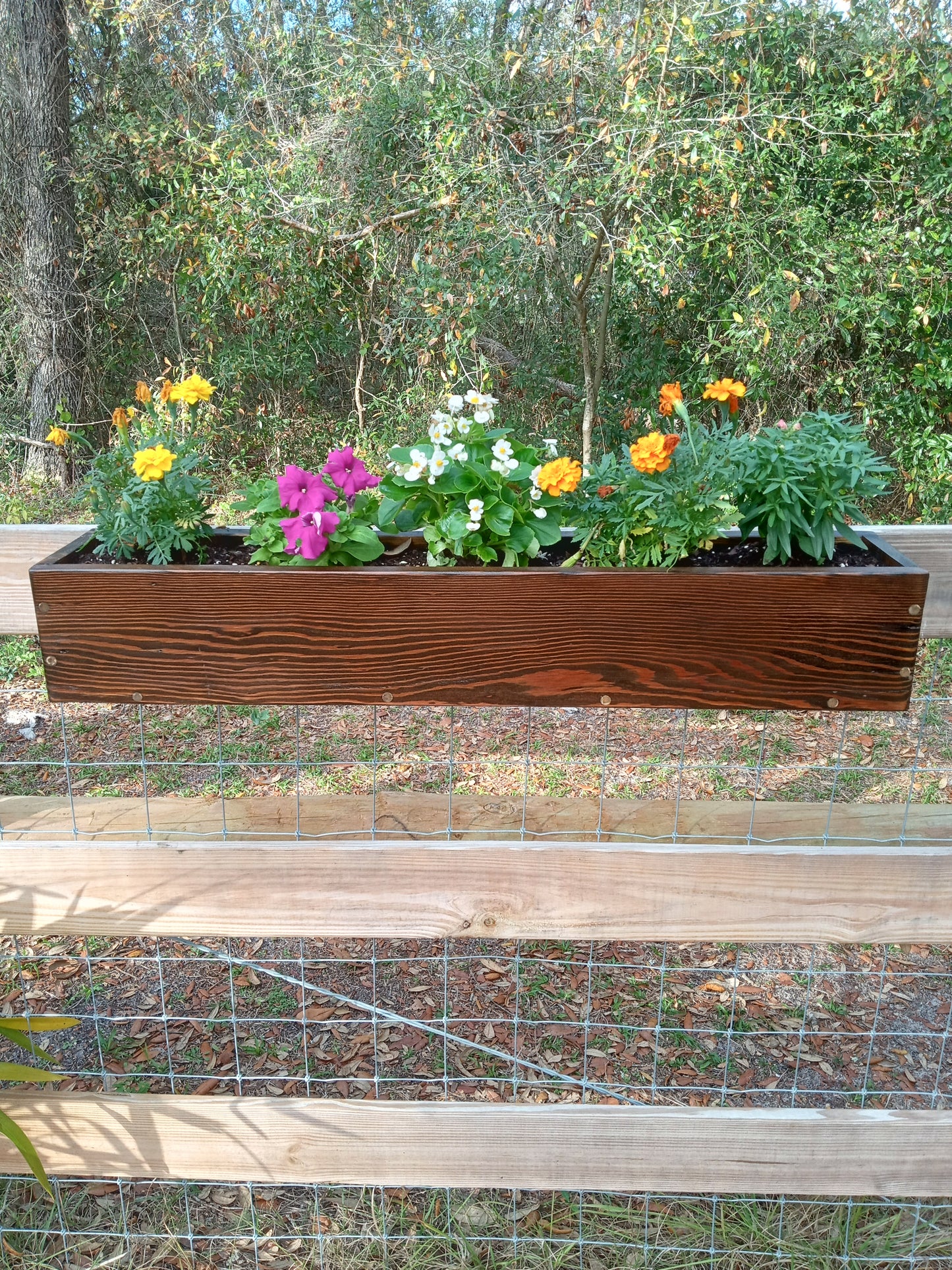 Hanging Fence Planters showcase durable stained-wood design, featuring vibrant flowering annuals, enhancing any fence with a pop of color for Spring gardening.