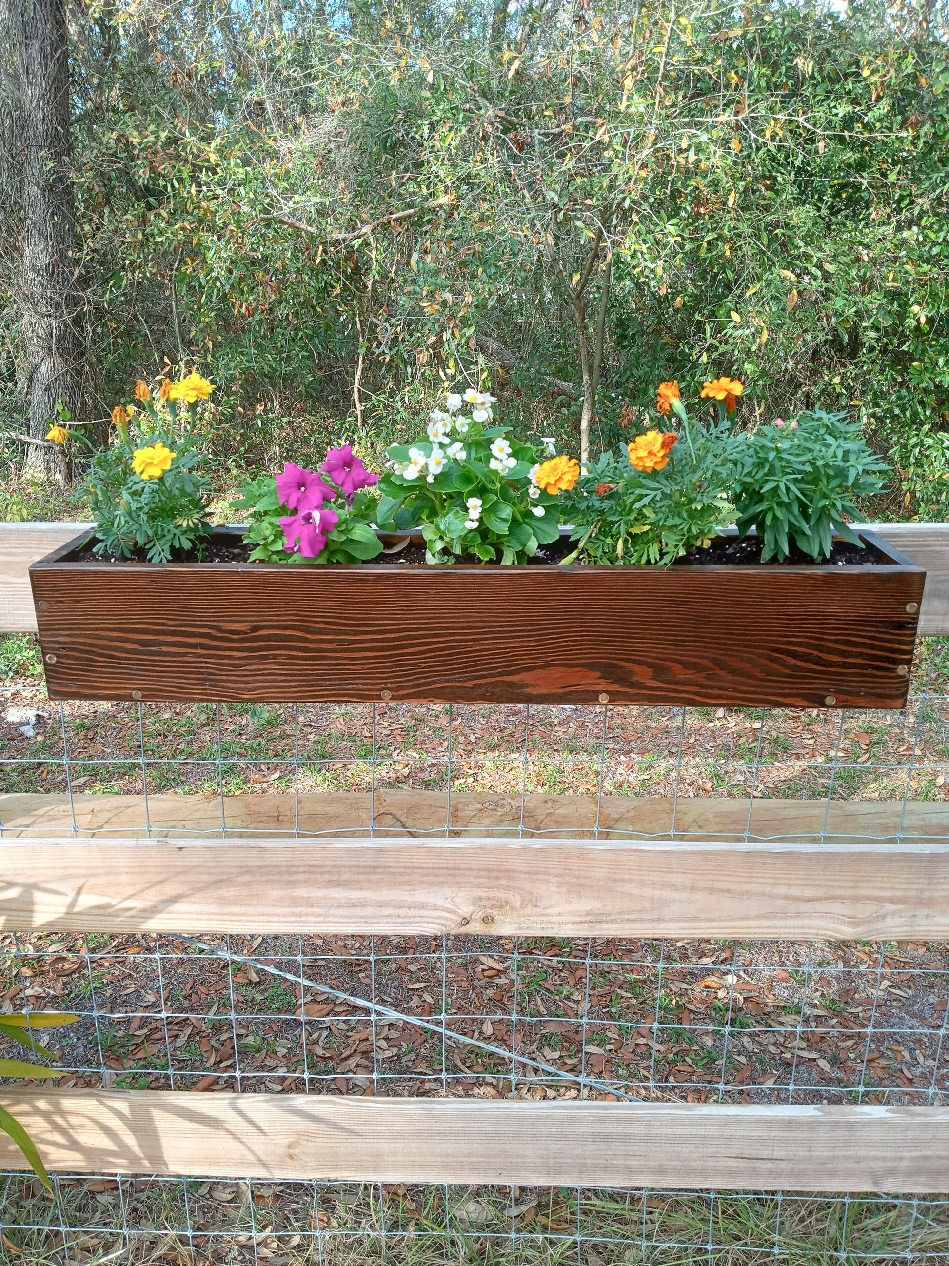 Hanging Fence Planters showcase durable stained-wood design, featuring vibrant flowering annuals, enhancing any fence with a pop of color for Spring gardening.