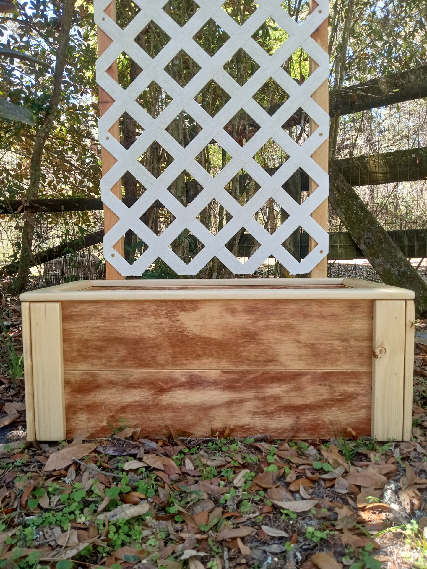 Farmhouse Lattice Planter