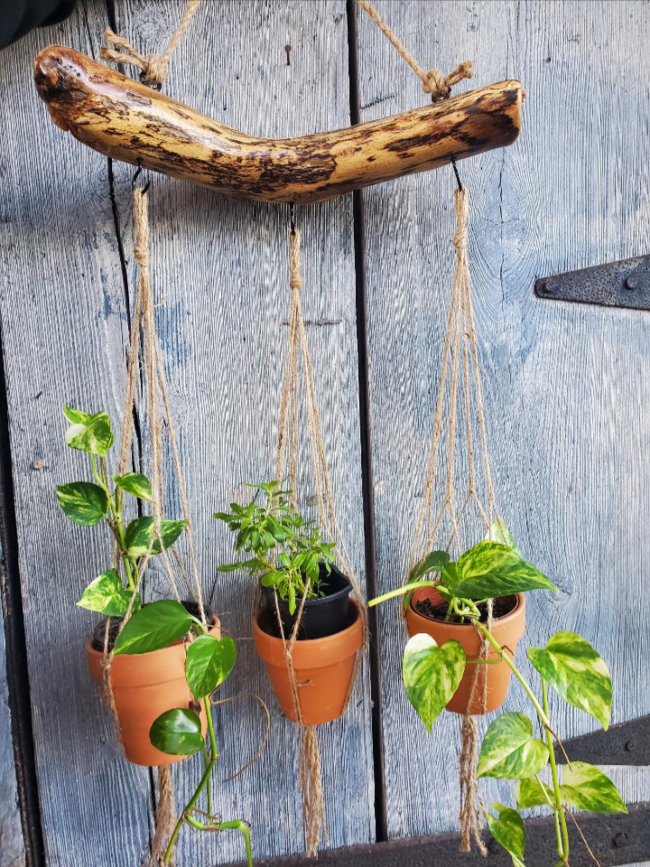 Natural Branch Hanging Planter – Knotty Traditions