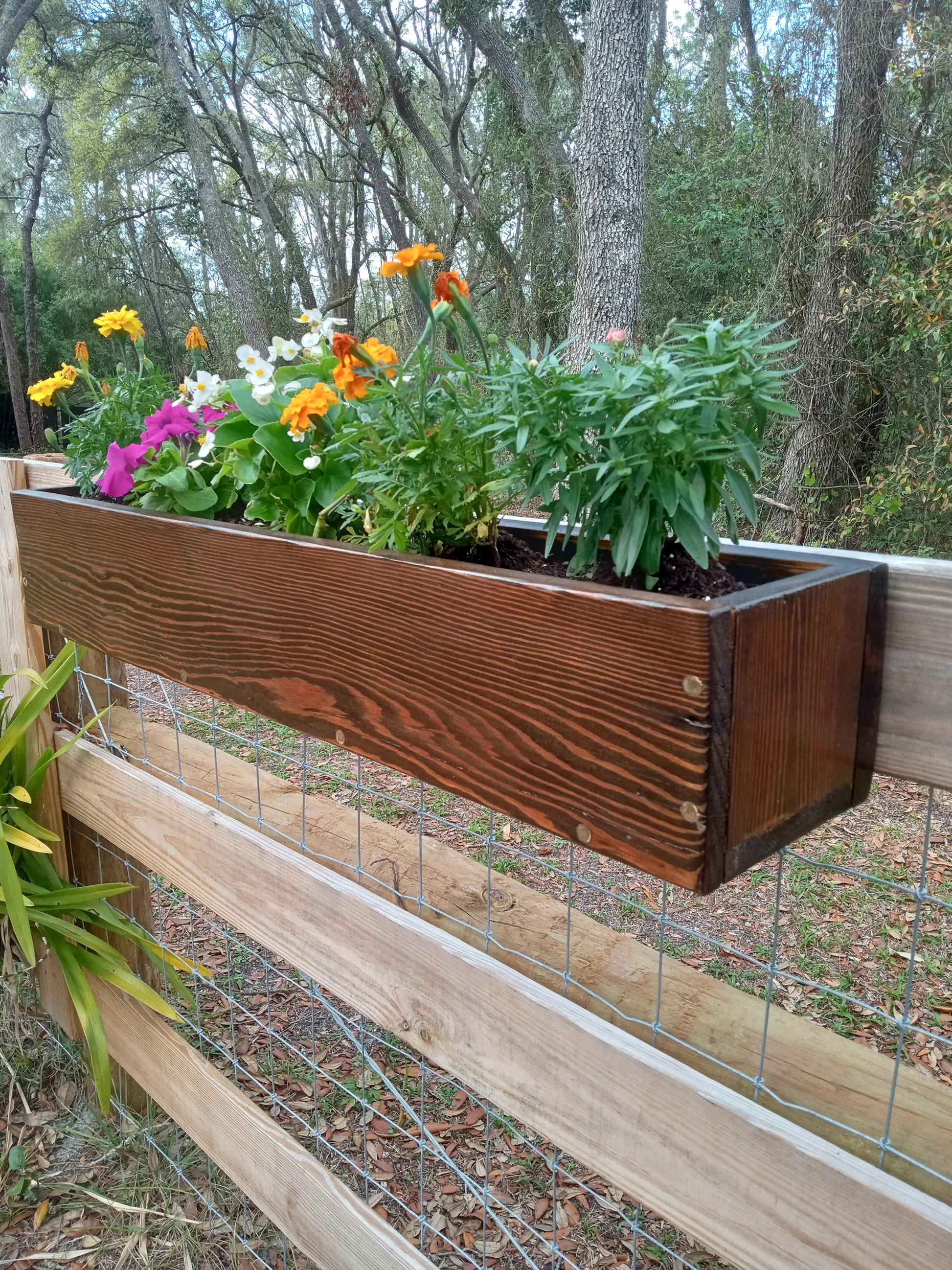 Hanging Fence Planters showcasing vibrant marigolds, begonias, and petunias, mounted on a wooden fence, highlighting durable cypress wood craftsmanship for spring gardening.