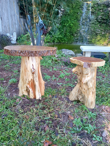 Rustic Natural Edge End Tables